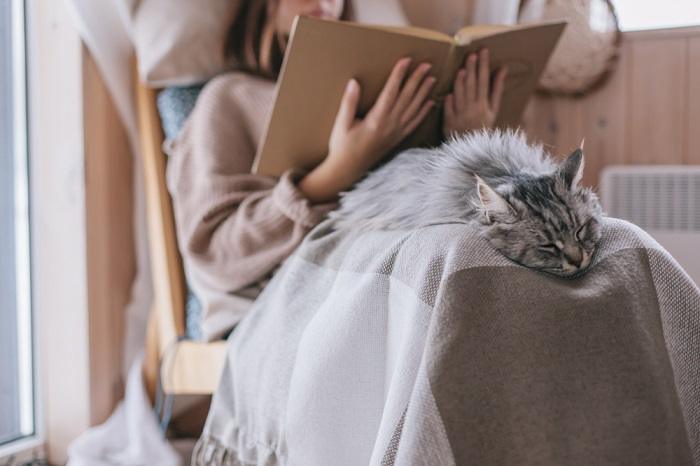 Ein Bild, das einen rührenden Moment zwischen einer Katze und einem Menschen zeigt.