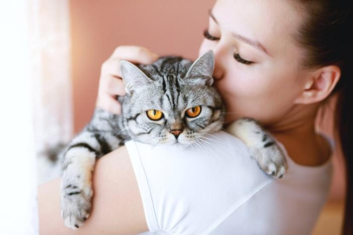 Ein herzerwärmender Moment zwischen einer Katze und einem Menschen, der ihre besondere Bindung und Verbindung zeigt.