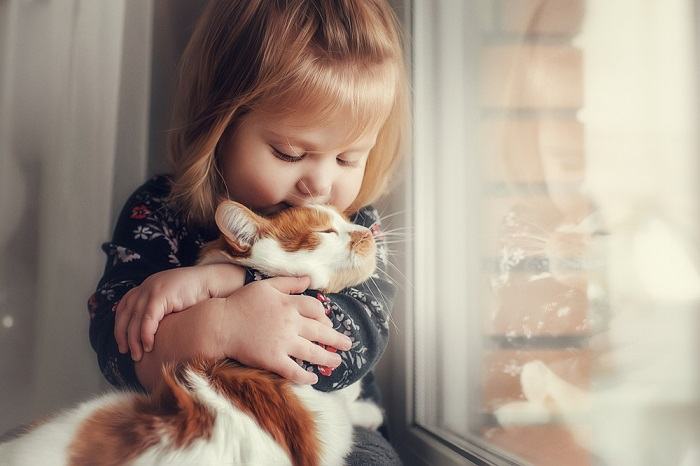 Eine Katze und ein Kind zusammen. Darstellung einer herzerwärmenden Interaktion zwischen einem Katzengefährten und einem kleinen Kind.