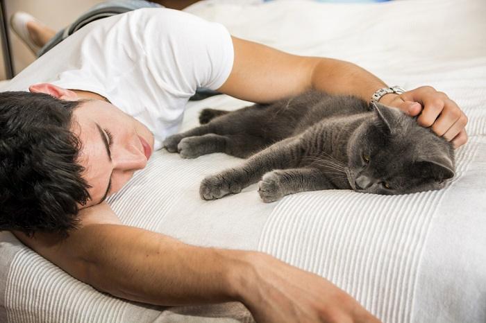 Mann liegt mit Katze auf einem Bett