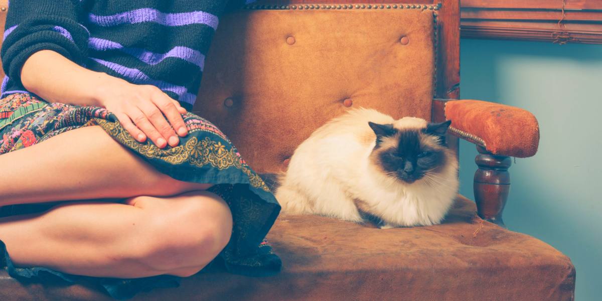 Ein Bild, das eine Frau im Umgang mit einer Katze zeigt.