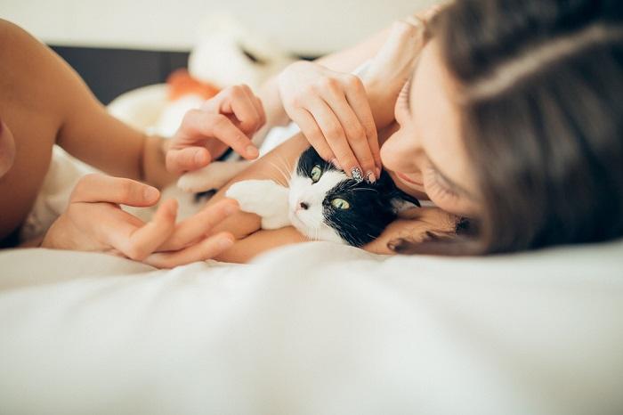 Paar baut Bindung zu seiner Katze auf.