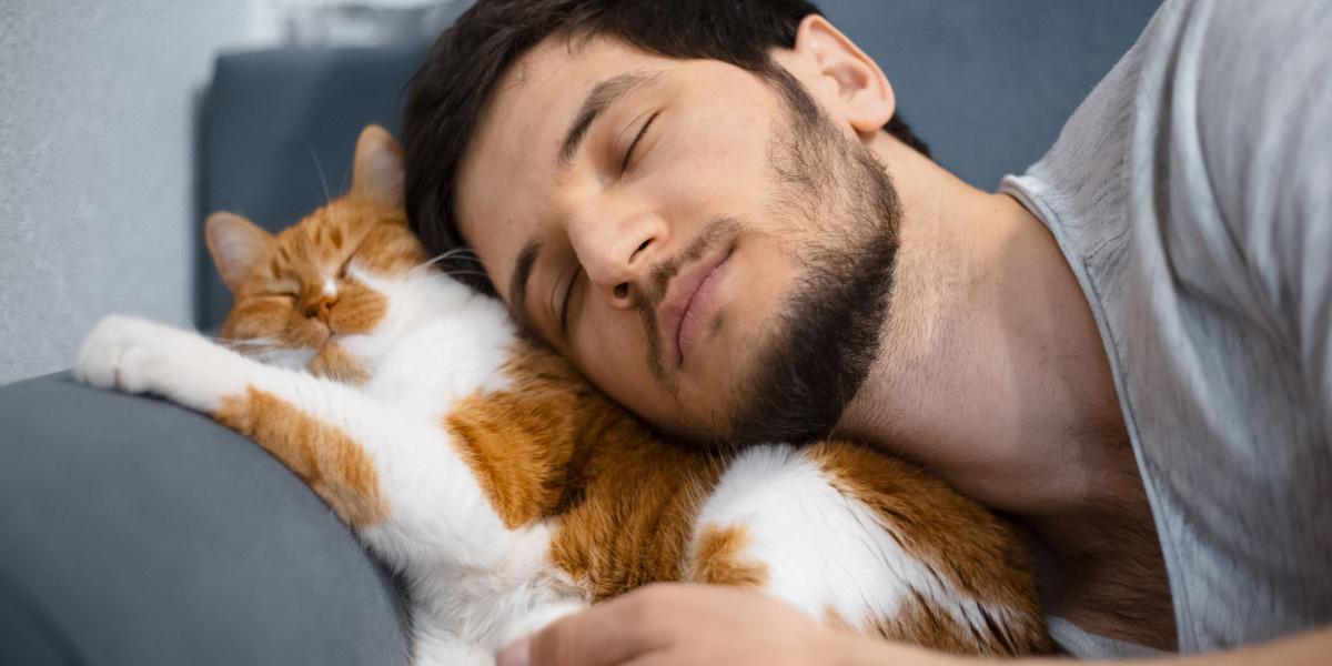 Berührender Moment zwischen einem Mann und seiner Katze, die sich herzlich kuscheln.