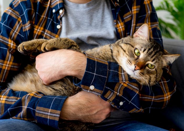 Ein Bild, das einen Mann zeigt, der sanft eine Katze in seinen Armen hält.