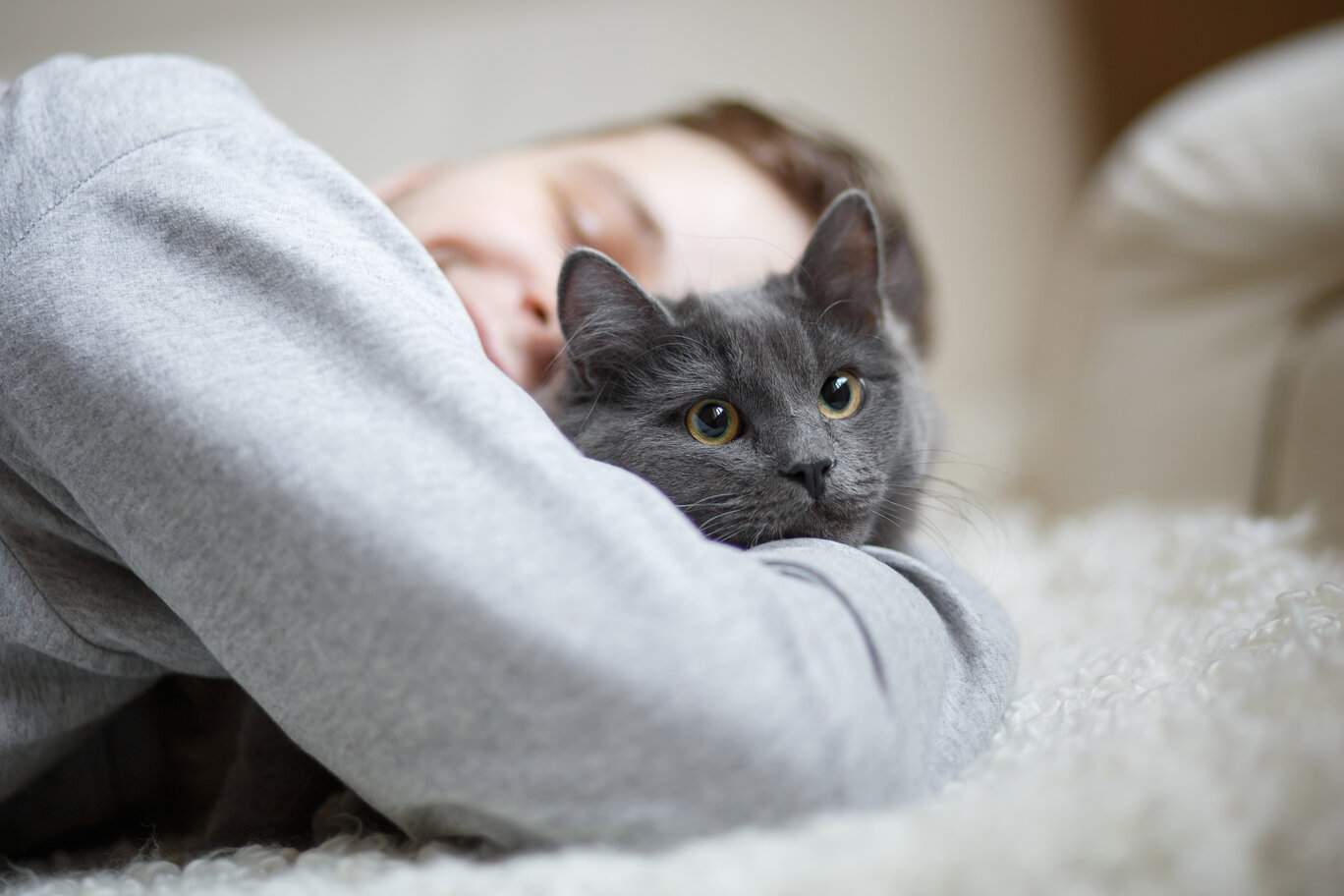 Ein herzerwärmender Moment, festgehalten als ein Mann auf dem Bett sitzend seine Katze liebevoll umarmt und so die starke Bindung und Kameradschaft zwischen Menschen und ihren Katzenfreunden veranschaulicht.