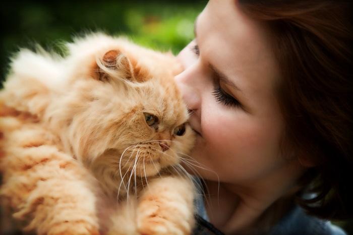 Bild einer Perserkatze neben einer Frau, das die Eleganz und Schönheit dieser Katzenrasse sowie die Zuneigung zwischen der Katze und ihrem Besitzer hervorhebt.