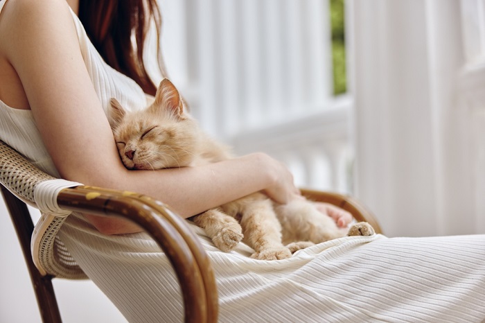 Eine Frau genießt einen friedlichen Moment mit ihrer Katze, eine heitere und herzerwärmende Verbindung zwischen Mensch und Katze.