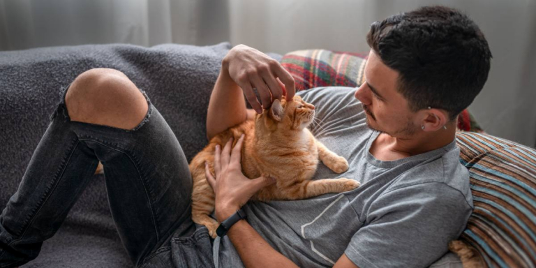 12 Zeichen einer ausgesprochen glücklichen Katze
