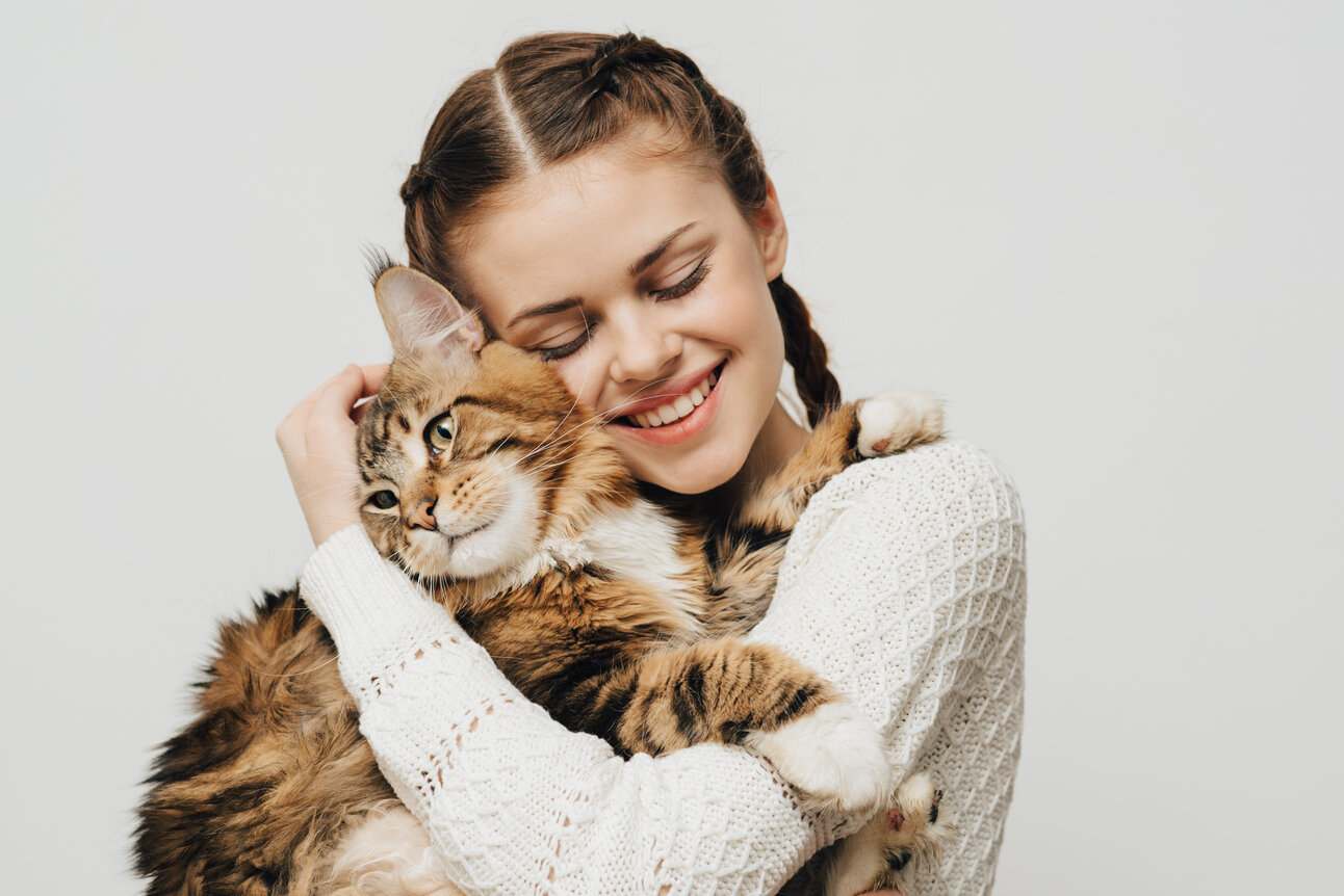 Das Bild zeigt eine geduldige Katze, die liebevoll von ihrem Besitzer umarmt wird und einen zärtlichen Moment der Mensch-Tier-Verbindung und Zuneigung hervorhebt.