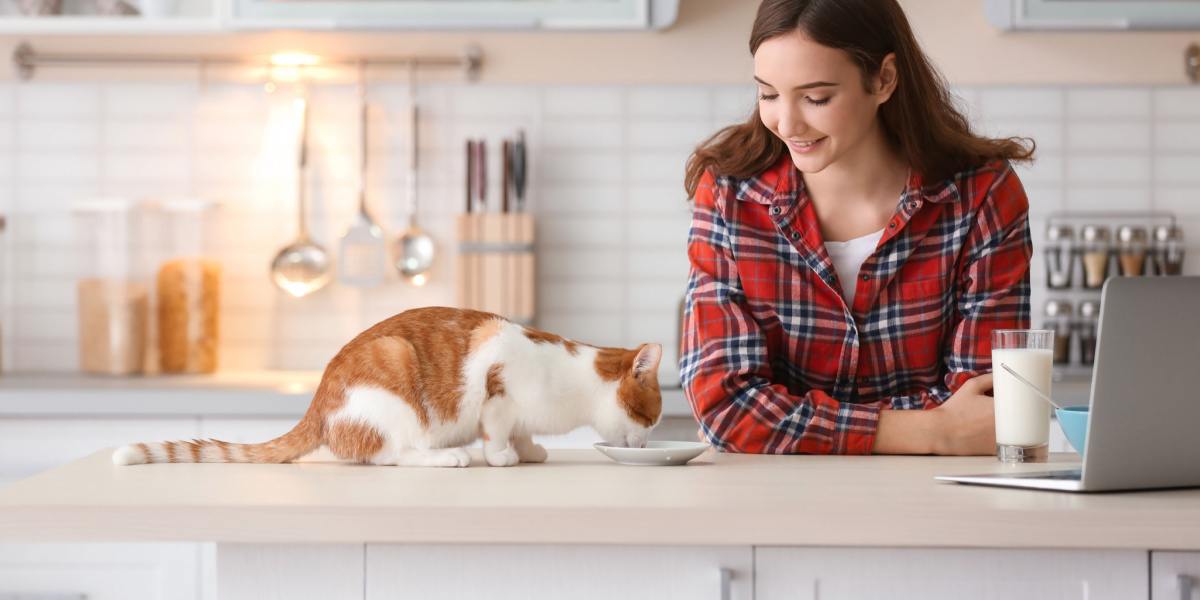 Das Bild zeigt eine Katze und eine Frau bei einer gemeinsamen Mahlzeit und veranschaulicht die Kameradschaft und Bindung zwischen Menschen und ihren Katzengefährten.