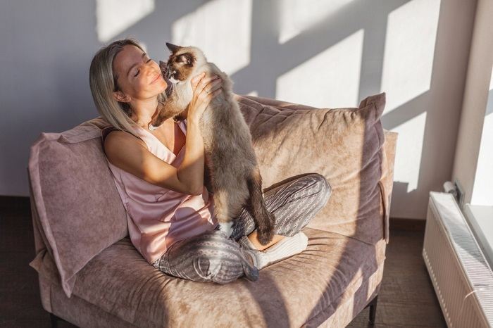 Bild einer verspielten Katze, die liebevoll die Hand ihres Besitzers leckt und einen herzerwärmenden Moment der Kameradschaft zeigt.