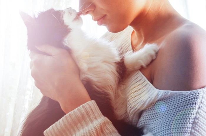 Bild einer Katze, die einer Frau die Wange leckt und damit ihre Zuneigung und Kameradschaft zum Ausdruck bringt.