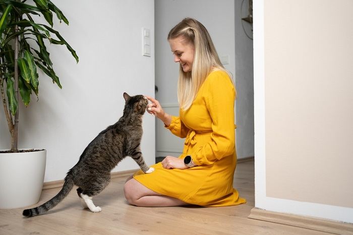 Eine Katze bringt ihre Zuneigung zum Ausdruck, indem sie die Hand einer Frau leckt und so ein Band des Vertrauens und der Kameradschaft demonstriert.