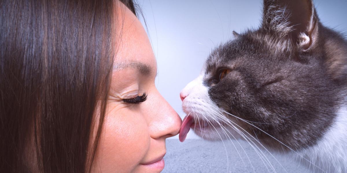 Eine Katze leckt einer Frau liebevoll die Nase und zeigt damit eine zärtliche Bindung und Pflegeverhalten.