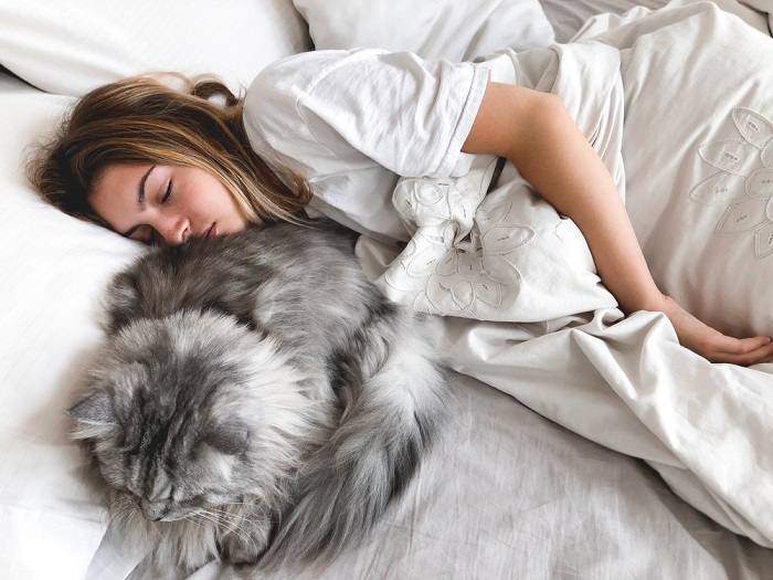 Das Bild zeigt eine Frau und ihre Katzengefährtin, die einen gemütlichen Moment auf einem Kissen verbringen, und unterstreicht ihre gemeinsame Verbundenheit und ihr gemeinsames Wohlbehagen.