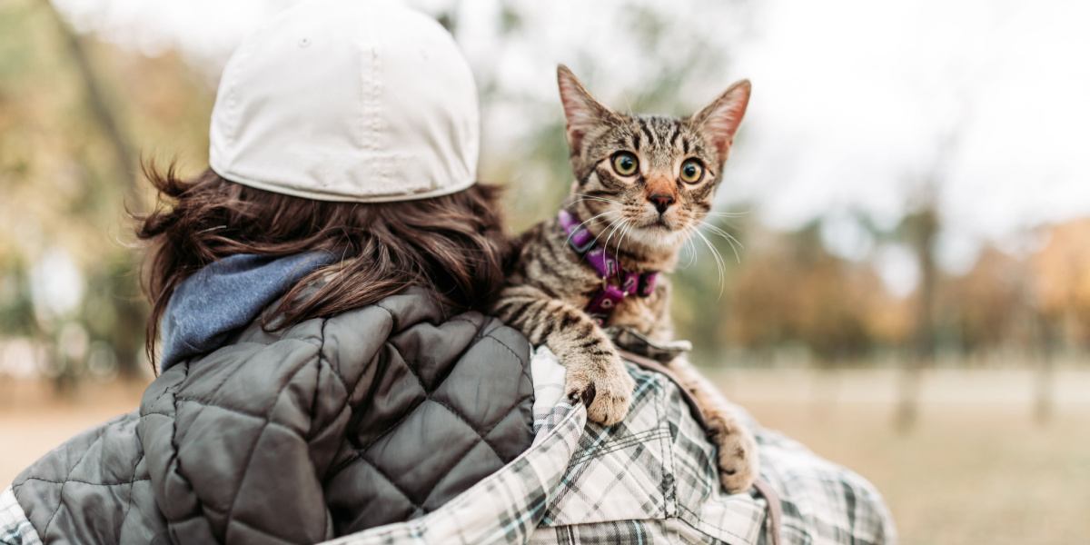 Bild eines Mannes, der eine ruhig und zufrieden wirkende Katze in seinen Armen trägt; beide gehen gemeinsam vor einer malerischen Kulisse spazieren.