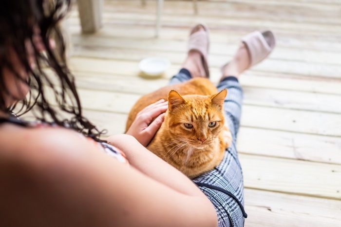 Junge Frau sitzt auf dem Boden und hält eine Katze im Arm.