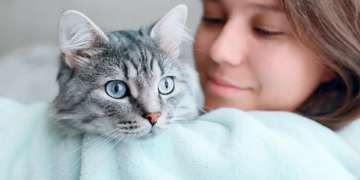 Katze und Mädchen zusammen.