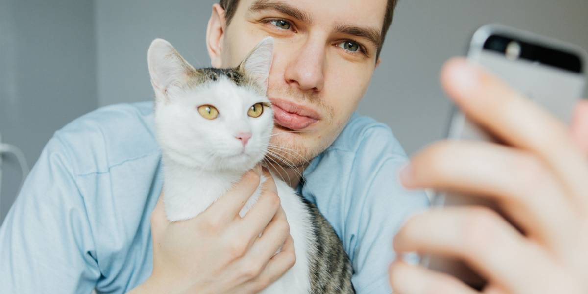 Katze und Mensch zusammen.