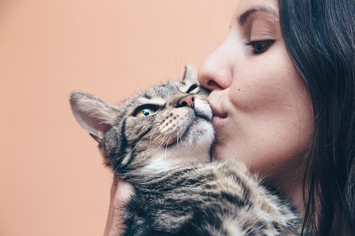 Ein bezauberndes Bild, das einen herzerwärmenden Moment zweier Katzen festhält, die eine süße und liebevolle Interaktion zeigen.