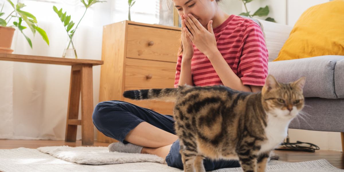 Katze beschnüffelt aktiv ihre Umgebung.