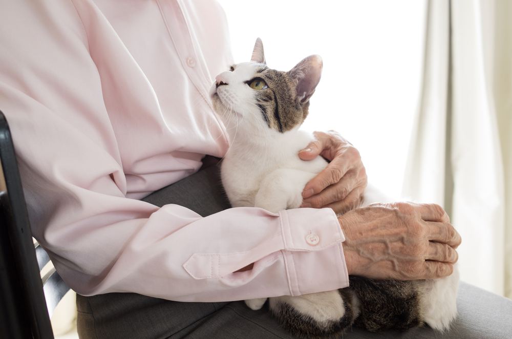 Ein Bild mit einer älteren Person, die eine süße Katze hält.