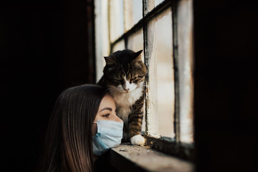 Ein Bild, das ein Mädchen mit ihrer traurigen, aber liebenswerten Katze zeigt.