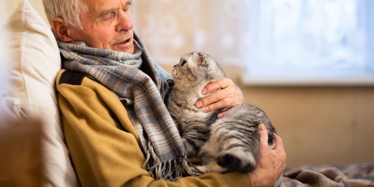 Ein Bild mit einem älteren grauhaarigen Mann in einem kuscheligen Pullover, der eine Scottish Fold-Katze hält.