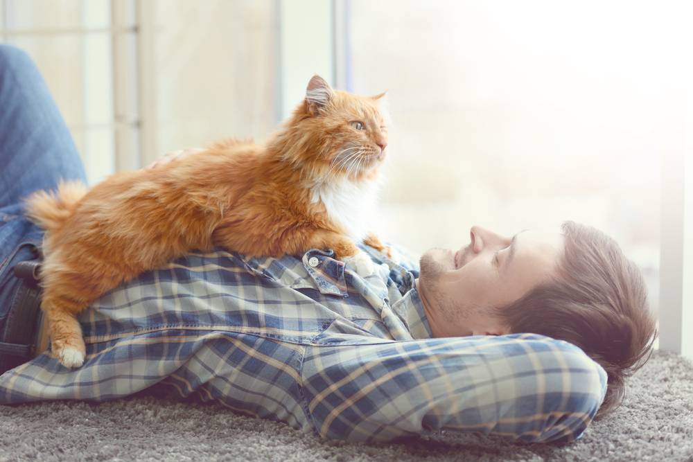 Junger Mann mit süßer Katze auf dem Boden liegend