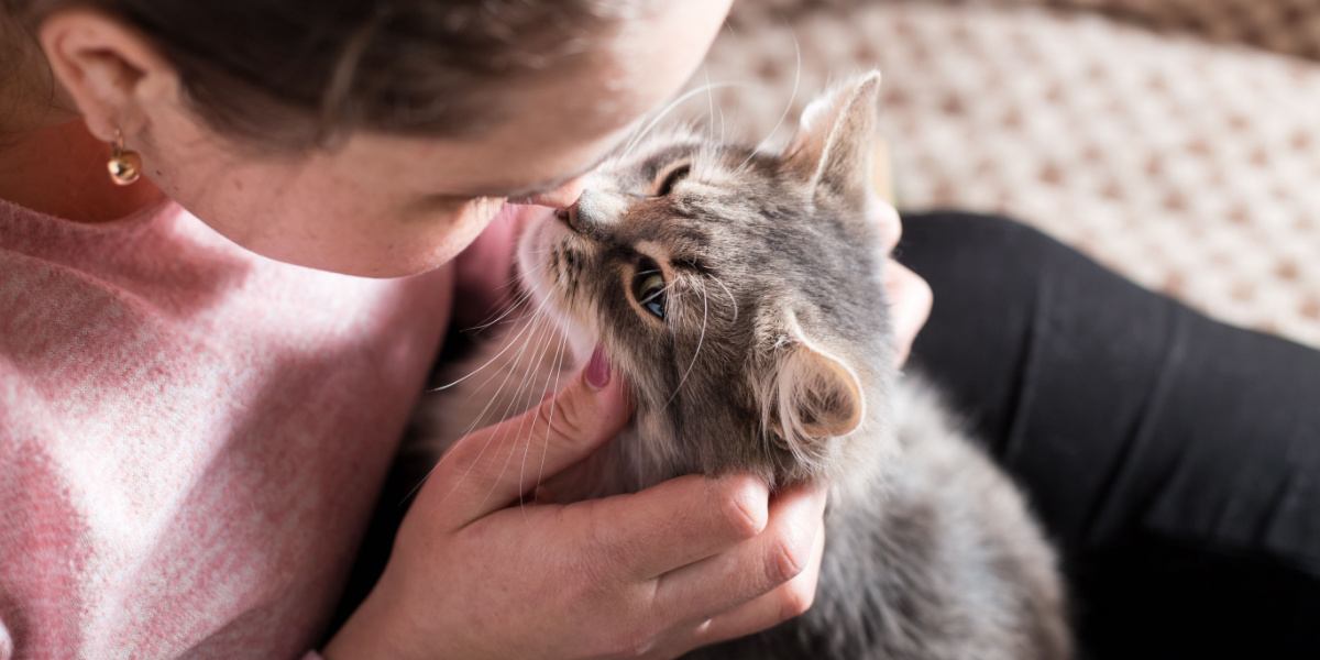 Mädchen küsst Katze auf die Nase