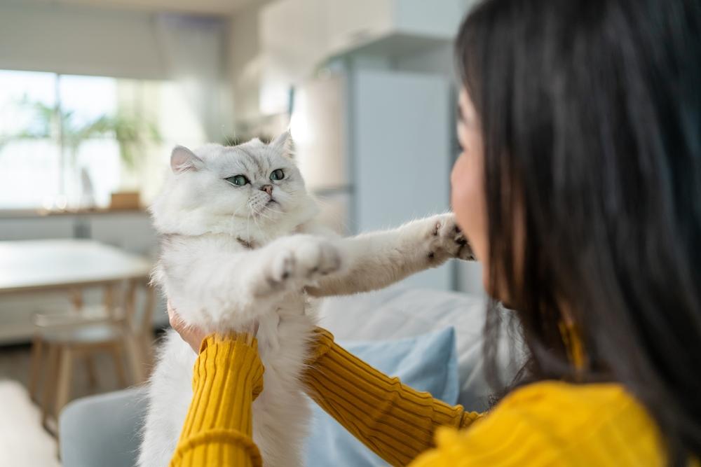 Frau hält und spielt mit kleiner Katze vor Freude