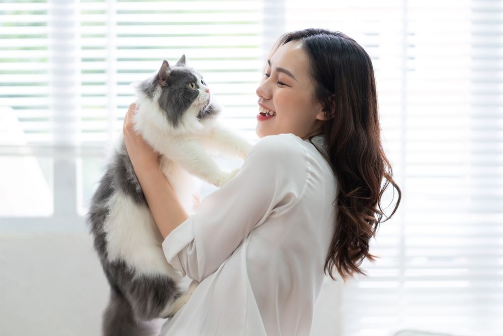 Frau spielt mit Katze zu Hause