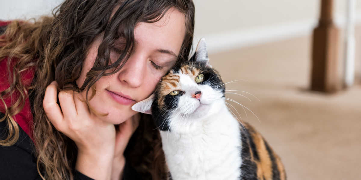 Katzen markieren ihr Gesicht mit Duftstoffen