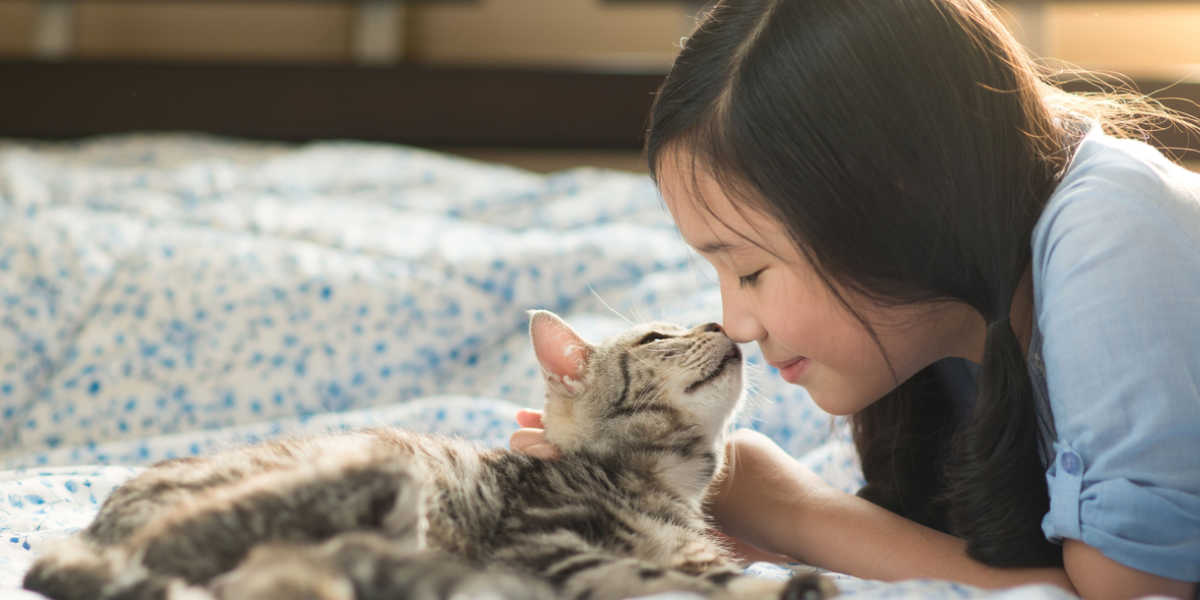 Katze leckt und schnüffelt am Gesicht