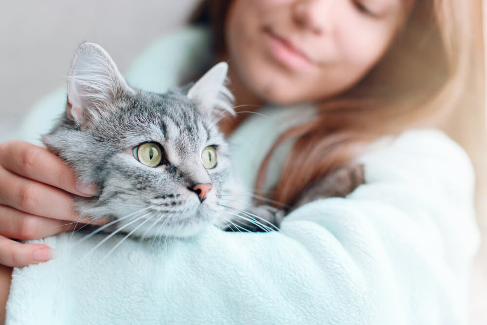 Frau zu Hause hält und umarmt ihre schöne, flauschige Katze