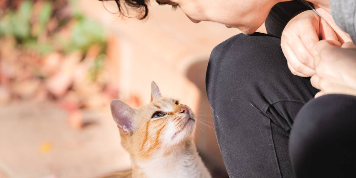 Junge Katzenpflegerin schaut liebevoll