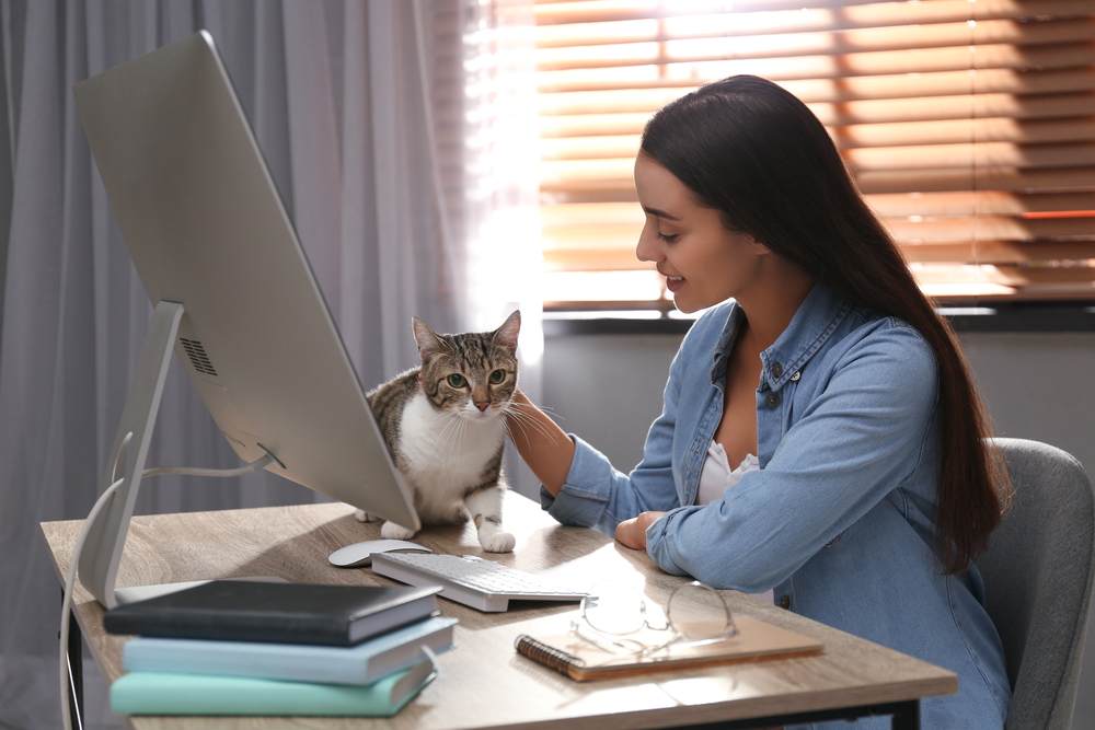 Junge Frau streichelt Katze am Tisch