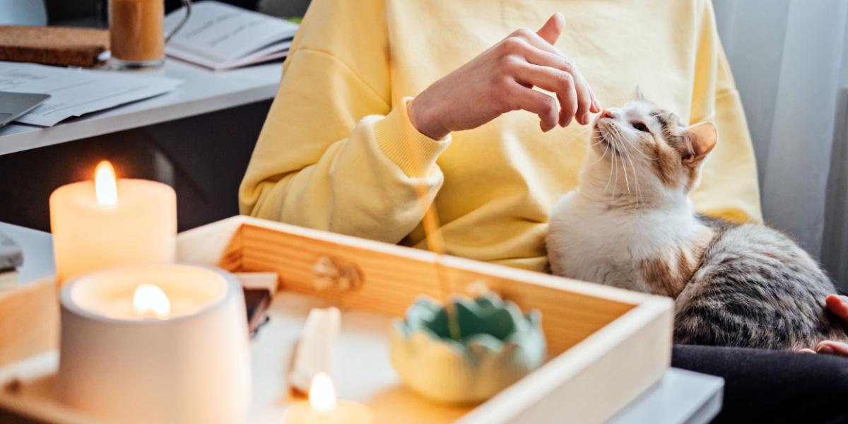 Eine Katze, die neben einem Tisch mit brennenden Kerzen sitzt, betont die potenzielle Brandgefahr und die Notwendigkeit zur Vorsicht.