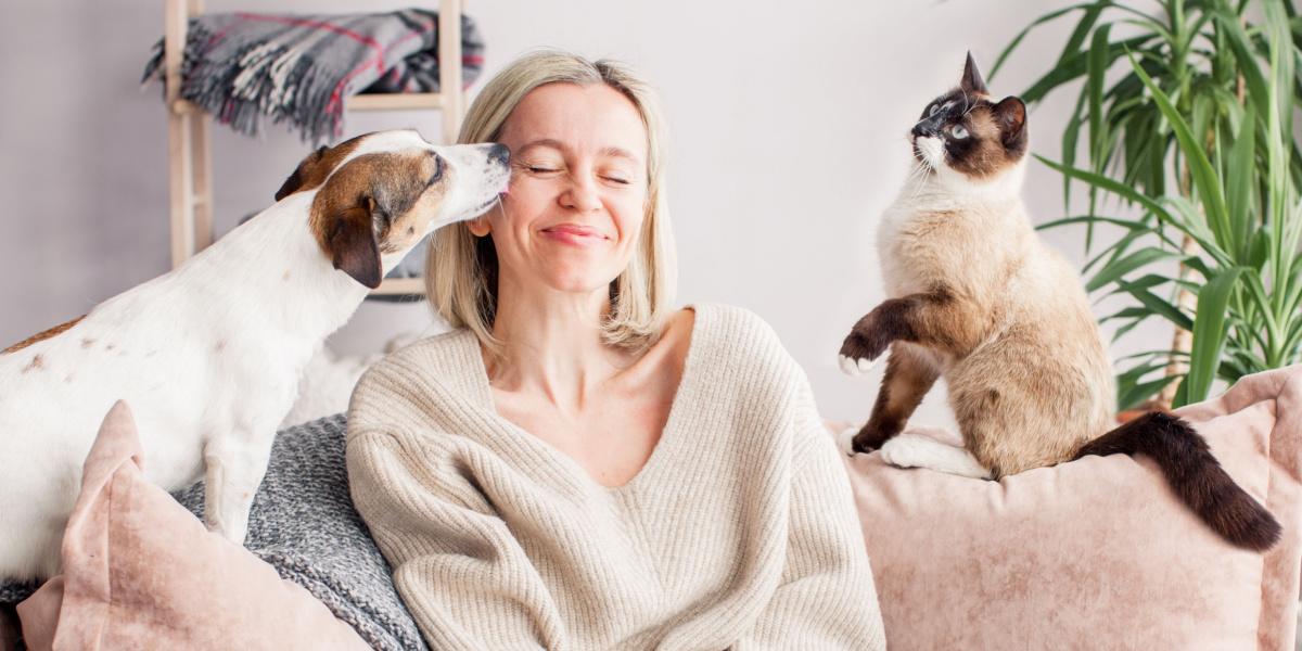 Frau ruht sich mit Hund und Katze auf der Couch aus