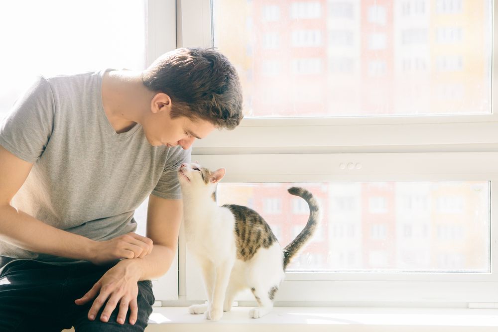 junger Mann sitzt mit einer Katze