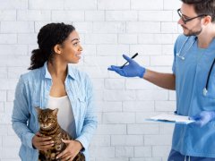 Cat owner with her pet communicating to vet