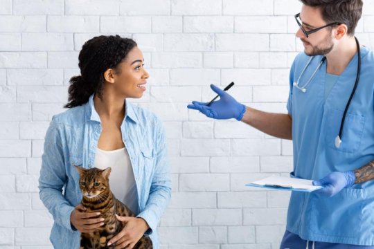 Was tun, wenn Sie sich die tierärztliche Versorgung Ihrer Katze nicht leisten können? Es gibt Optionen