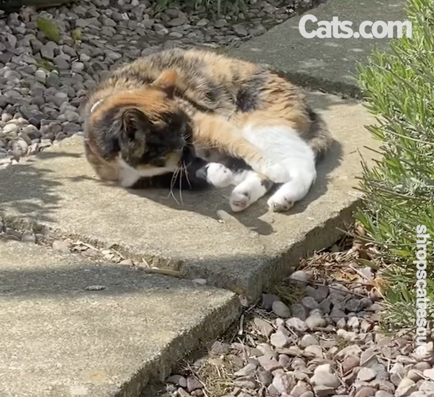 Ein älterer Dorfbewohner genießt die Sonne in Moggies Villa