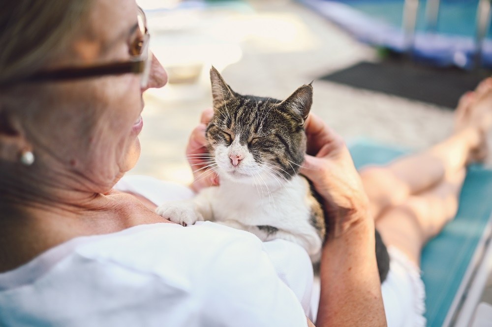 Glückliche ältere Frau umarmt Hauskatze Tabby