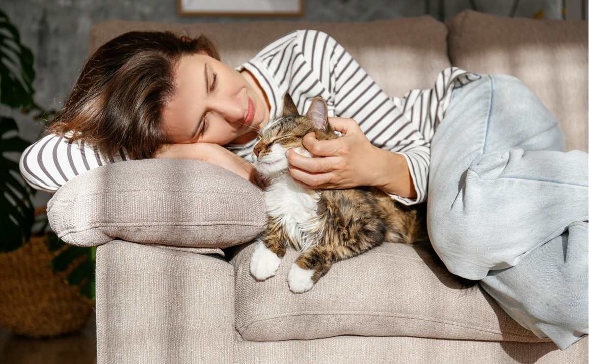 Porträt einer jungen Frau mit einer süßen sibirischen Katze mit grünen Augen