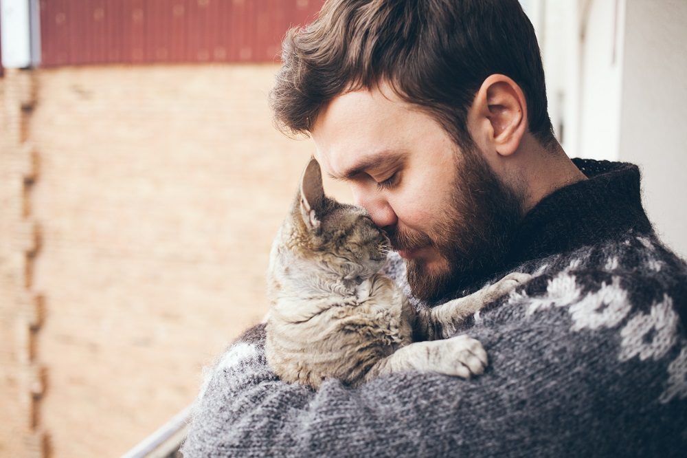 Porträt einer glücklichen Katze mit geschlossenen Augen und einem jungen Mann