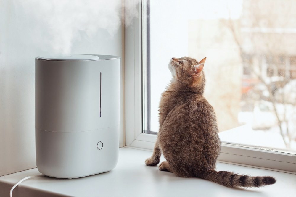 Eine junge getigerte Katze sitzt auf der Fensterbank und betrachtet den Dampf des weißen Luftbefeuchters.