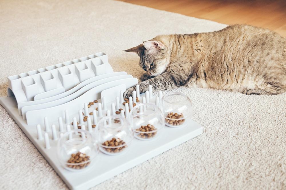 Katze spielt mit Futter am Slow Feeder