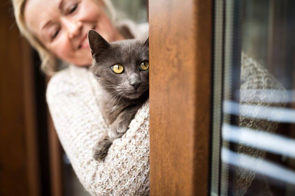 Reife Frau hält flauschige Katze