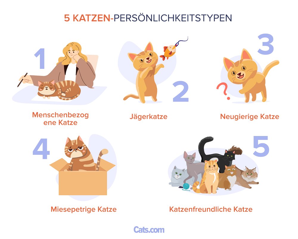 5 Katzenartiges Persönlichkeitsspektrum